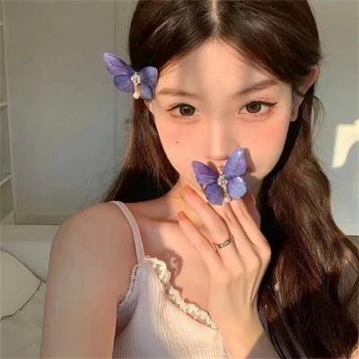 银都百美